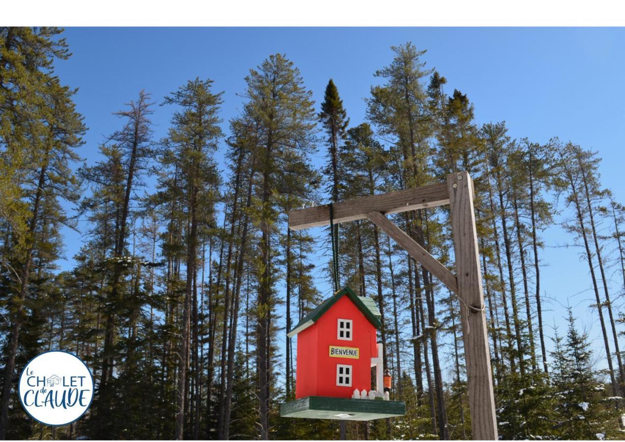 Le Chalet De Claude, Au Pied Des Monts-Valin Saint-David-de-Falardeau Zewnętrze zdjęcie