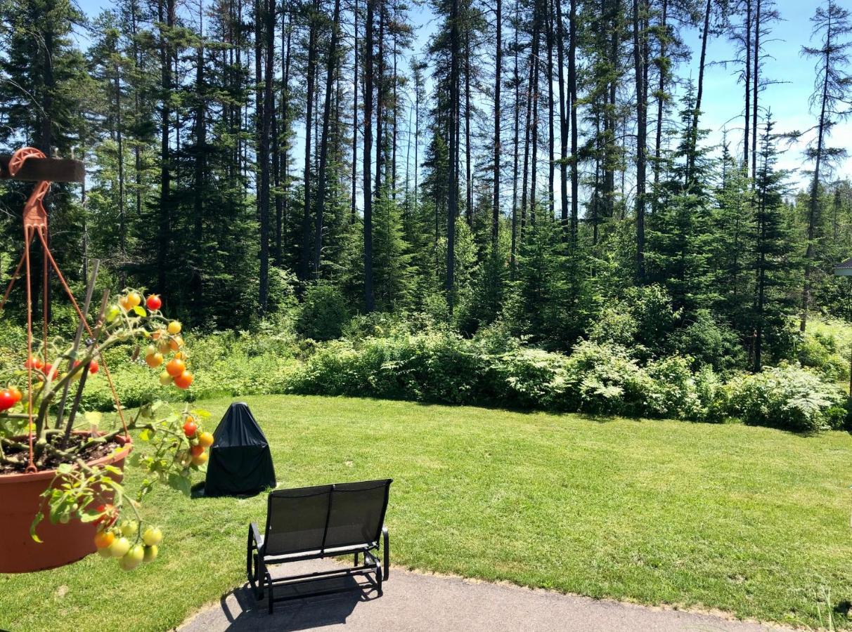 Le Chalet De Claude, Au Pied Des Monts-Valin Saint-David-de-Falardeau Zewnętrze zdjęcie